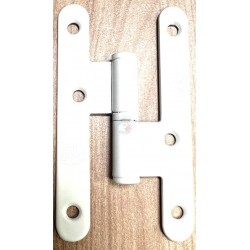 PERNIO 100x57 HIERRO S/REM...