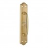MANILLON SARA PLACA LATON SATINADO